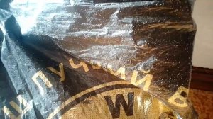 Белые насекомые.mp4