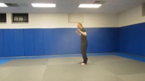 Hapkido Body Movement Drill   Hanbo