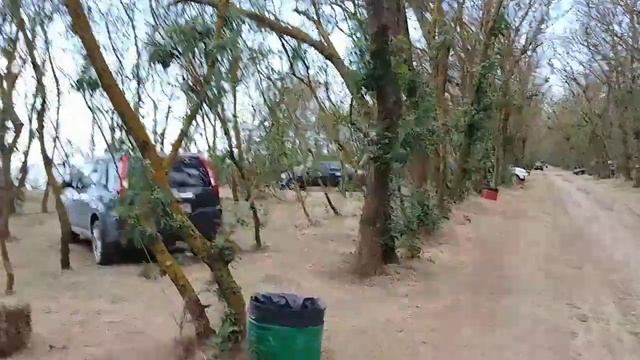 Лебедевка 2020.обзор отдыха в лесу.лагерь Мест Нет смотреть онлайн