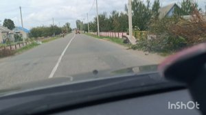 Урожай помидор, закатки на зиму, пострадавшая от урагана деревня, 24.07.24
