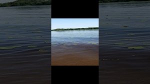Мэни и Гуля. на заливе