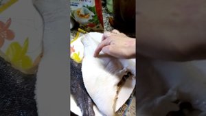 Камбала в кляре