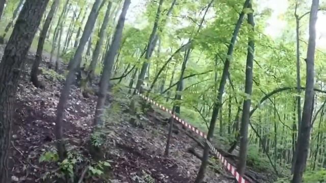 Саратов «Бурелом» день 1 смотреть онлайн