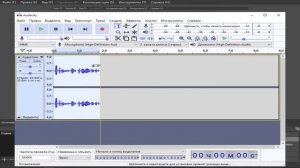 Обработка Как У ЮТУБЕРОВ/Как Круто Обработать Голос в Audacity?/Быстрая Обработка Голоса В Audacity