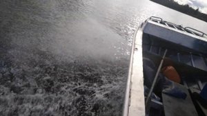 Струя водомета.