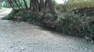 КРЫМ  РЕКА БЕЛЬБЕК ПЕРЕСОХЛА,ЧТО ДАЛЬШЕ?!