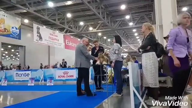 ЕВРАЗИЯ - 2, МОСКВА 06.05.2018 ЩЕНКИ, СКАЗКА ИМАНДРЫ ДАРИСЛАВ (Рэдик) ЛУЧШИЙ ЩЕНОК! смотреть онлайн