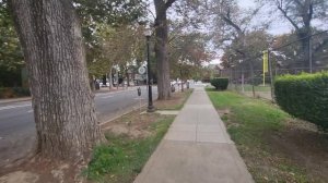 Жизнь в Сакраменто для новоприбывших.  Цены. Районы. Русскоговорящая диаспора. Vlog Olga Polik