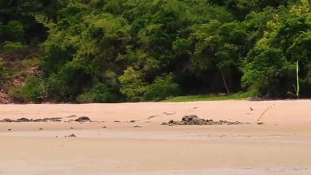 ЕДЕМ НА ВОЕННЫЙ ПЛЯЖ В ПАТТАЙЕ | НАС ВПЕРВЫЕ УЗНАЛИ | ПОДАРОК ОТ ПОДПИСЧИКА смотреть онлайн