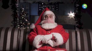 Новогодняя заставка (Мир, 19.12.2020)