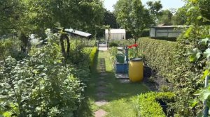 КАКИЕ ОГОРОДЫ В ГЕРМАНИИ.ЧТО ПОСАДИЛИ И КАК.