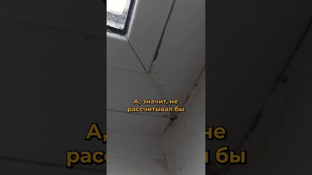 Принимать квартиру самостоятельно?