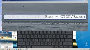 STAMINA-Подробно О Программе!