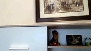ПОПУГАЙ все ГРЫЗЕТ!!!! Что ОН СГРЫЗ???