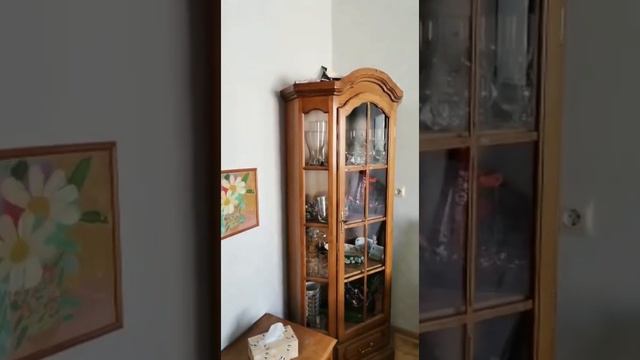 Квартира на побережье Чёрного Моря ! 3- х комнатная квартира с качественным ремонтом и мебелью .