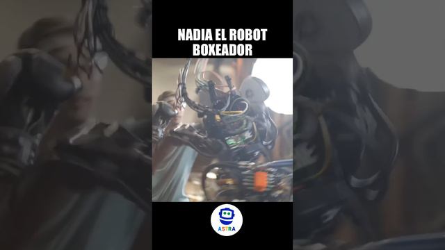 ASTRA - Robot Boxeador