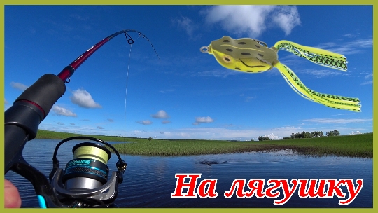 Лягушка удивила. Рыбалка в Нижневартовске ХМАО..mp4