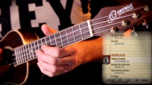 Ukulele Hero III  | All Guitar Riffs On A Ukulele!