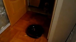 как работает робот пылесос LG-VR6270LVM.avi.flv