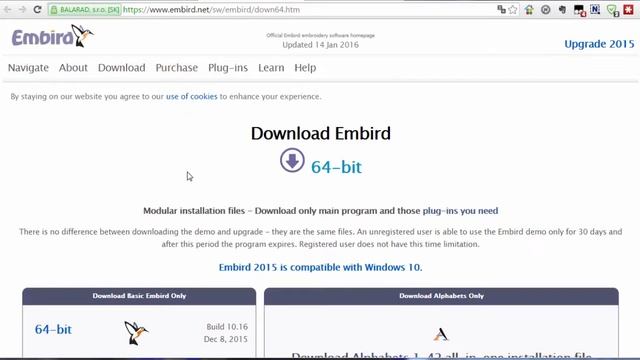 Лучшие программы для машинной вышивки - Embird и Wilcom