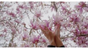 Природа 4к. Яркие краски. Цветы. Лечебная музыка. Расслабляющее видео.