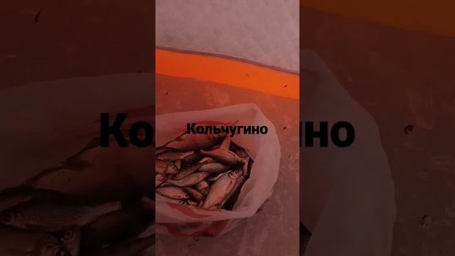 Рыбалка.клёв одна за одной.