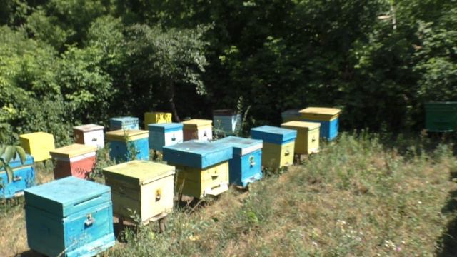 КАК СДЕЛАТЬ ПРОСУШКУ РАМОК. ПОДГОТОВКА К ХРАНЕНИЮ. смотреть онлайн