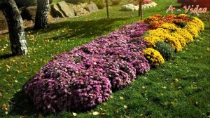 ?Примеры красивого украшения сада / Original ideas for garden creativity / A - Video