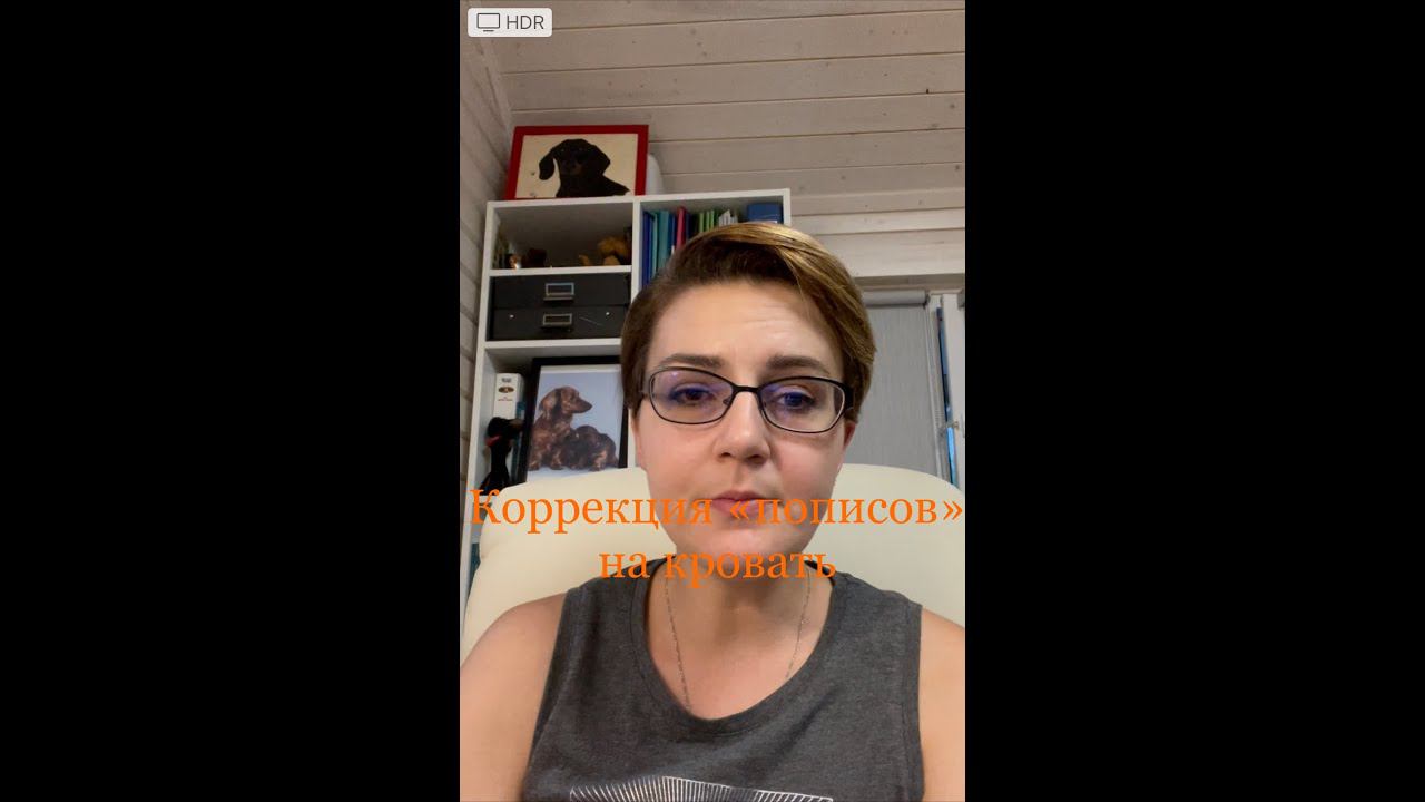 Что делать, когда собака писает на кровать? смотреть онлайн