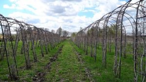 Питомники и Садовые Центры, отбор растений | Land Blog team