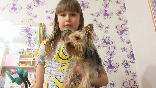 Уход за собакой. Вечер с собакой|Alina_zr смотреть онлайн