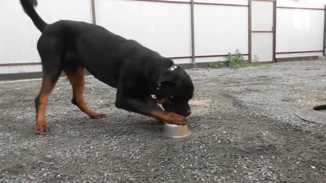 полотер смотреть онлайн