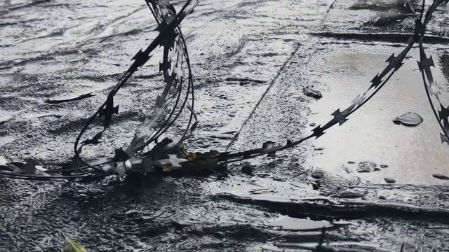 VID 20220930 154934 Умей творить(К. Бальмонт)...Павел Васильев Лахтинский смотреть онлайн