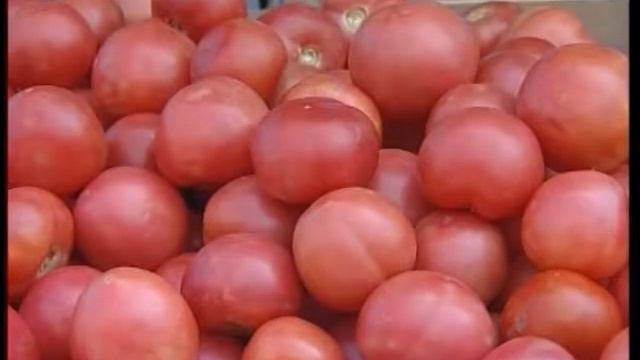 Запрет продажи овощей и фруктов смотреть онлайн