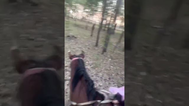 поездка на лошади 🐴