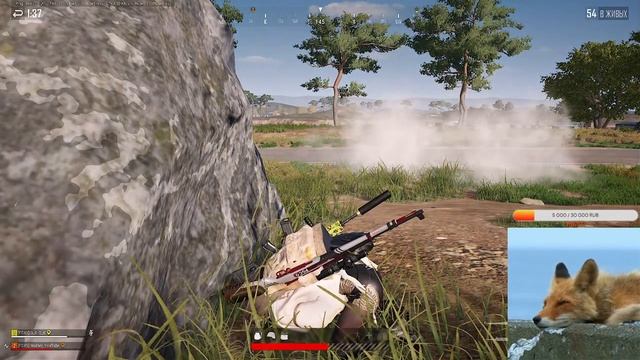 Mother?PUBG BATTLEGROUNDS /Штиль, ветер молчит/Девушка стримит пабг? смотреть онлайн