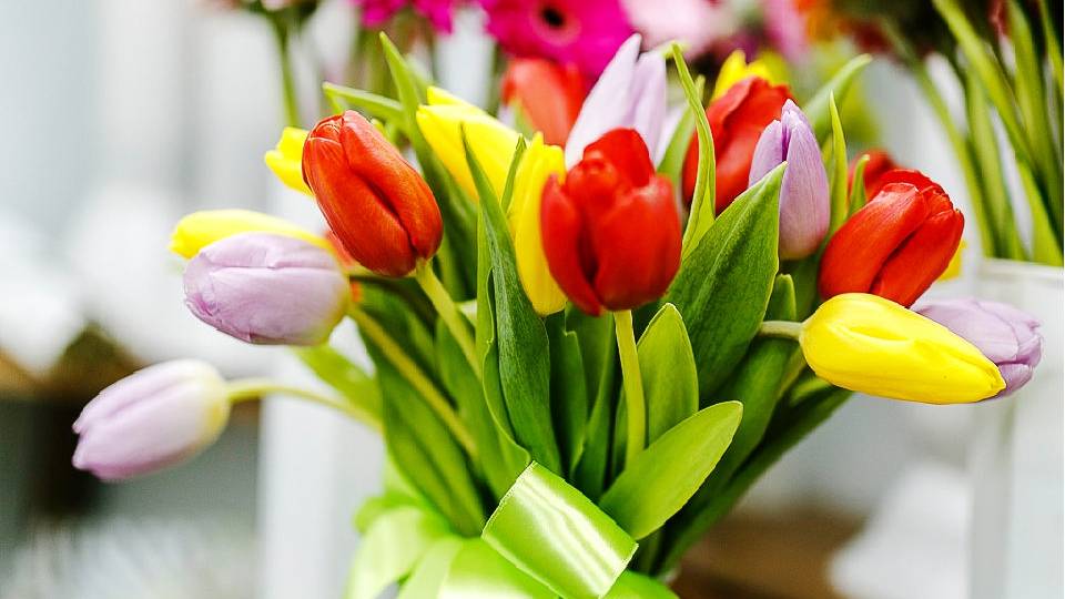 С 8 Марта, Поздравляю ! смотреть онлайн