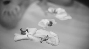 Самые красивые домашние роды. The most beautiful homebirth ??