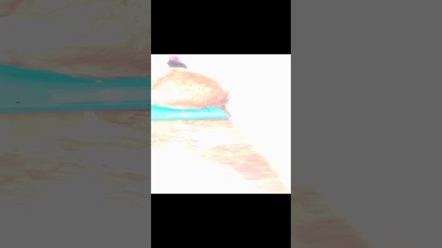 Отдам котиков в добрые руки