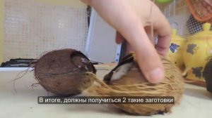 Приготовить кокос для аквариума своими руками. Грот из кокоса. Домик из кокоса. (краткая версия)