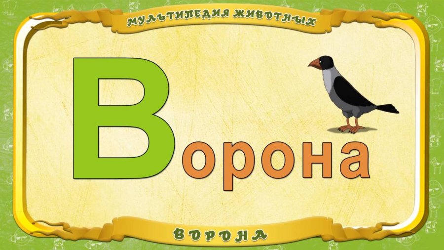 Канал ворона. Животное на букву п. Животные на букву п. Мультипедия животных буква п пантера. Мультипедия буква п пантера.