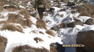 Приэльбрусье 2016. Охота на тура. Часть 2