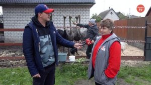 Страуси у Новограді-Волинському