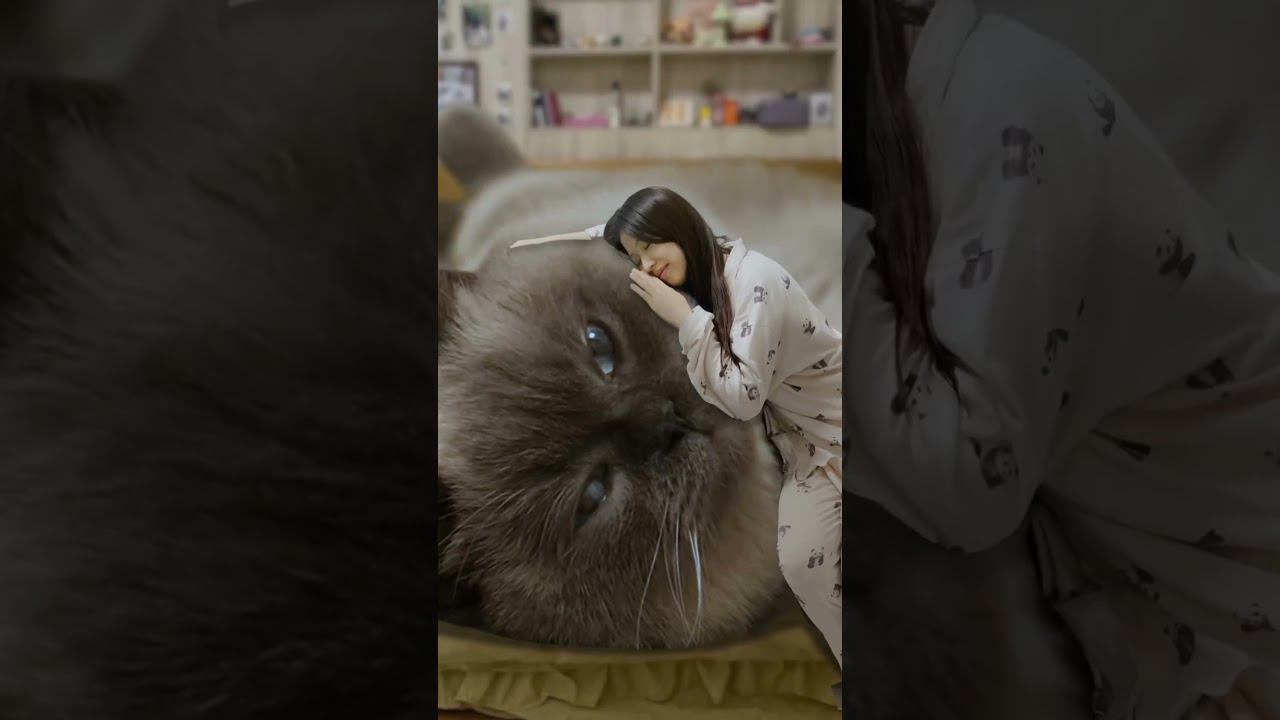 Все, чем хочется заняться на этих выходных смотреть онлайн