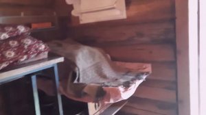 Самая простая и надежная проводка в бане и сараи