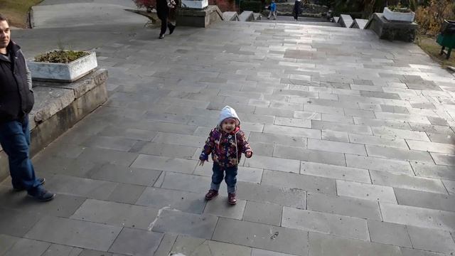 ПАРК ДЕНДРАРИЙ в СОЧИ. Сочинский национальный парк. 2019 смотреть онлайн