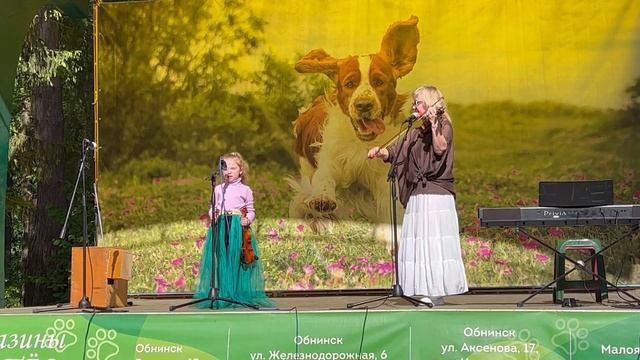 ❤️ Скрипочка ?. В новом исполнении ☝️ смотреть онлайн