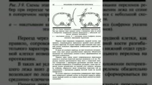 Профессор Крюков .Перевал Дятлова.