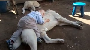 Степа и Зауральский Медведь Ерофей Палыч (САО)