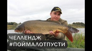 Карпфишинг. Челлендж #поймалотпусти.